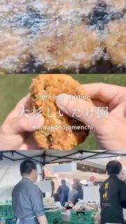 都城メンチ事業者紹介💁‍♀️
【#大杉しいたけ園 編】
本日は宮崎県都城市にて“しいたけ”への想いまるごと大切に育てる『大杉しいたけ園』に潜入！
 
「道の駅」都城NiQLLにて開催されている朝市で、大杉しいたけ園の新メンチ「きくらげメンチ」をいただいてきました🍄
大杉しいたけ園のメンチといえば、「しいたけメンチ」。
「しいたけメンチ」は名前の通り、しいたけを丸ごと使った豪快なメンチです。
 
大杉しいたけ園で育てたきくらげを、メンチの中にぎゅっと閉じ込めた「きくらげメンチ」は、コリコリ食感が楽しい新食感メンチ✨
 
ひとくちかじればじゅわっと広がる肉汁と、きくらげの食感があとを引くおいしさです💕
 
朝市の広場に広がる香ばしい音と香り—。
油の中で色づいていくメンチと大杉さん親子のやわらかな接客に、癒される時間でした👍
 
きくらげが主役になるメンチも、大杉しいたけ園ならではの楽しみ方です。
この「きくらげメンチ」、現在は朝市でしか出会えないレアメンチ👀✨
 
見つけたらぜひ味わってみてください💕
 
 
🚗 情報はこちら👇
—————————————————————————
大杉しいたけ園
〒889-1803 宮崎県都城市山之口町山之口1809
TEL : 0986-57-2536
OPEN：8:30～17:00
定休日：日曜日
◎店舗は冷凍販売のみ
—————————————————————————

#都城メンチ #都城メンチプロジェクト #メンチカツ #メンチ #九州 #kyushu #宮崎県 #miyazaki #都城 #miyakonojo #宮崎グルメ #都城グルメ #japan #献立
#レシピ　#大杉しいたけ園　#きくらげメンチ #しいたけメンチ #メンチasmr #揚げ物好き #ご当地グルメ